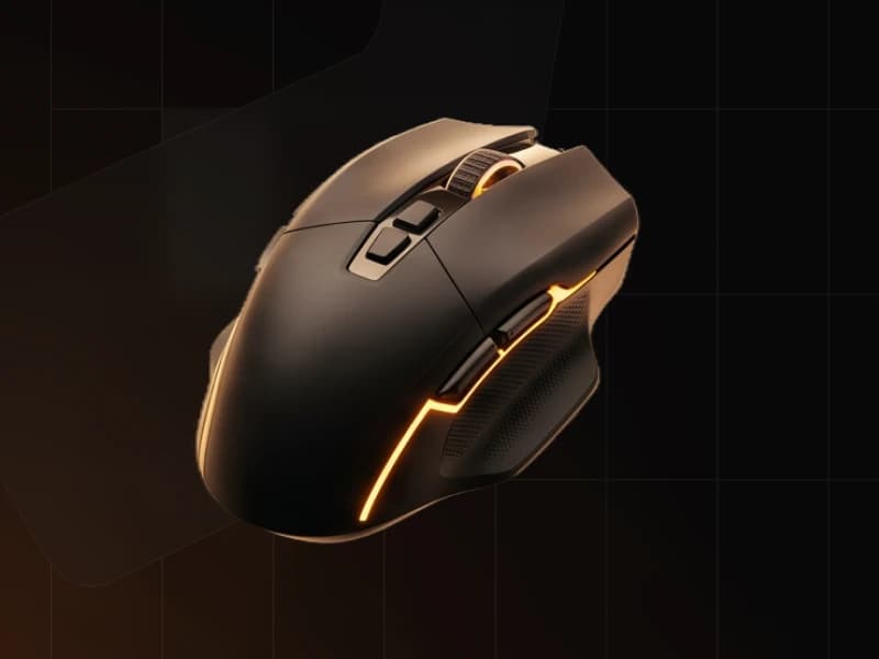 Mouse